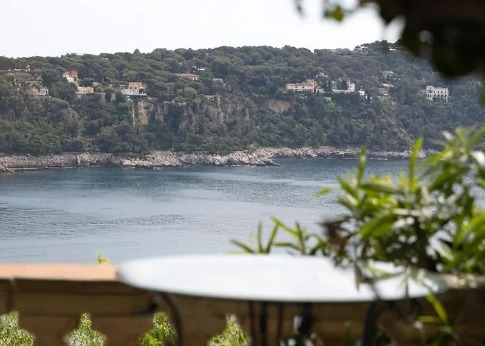 Belvedere Nizza