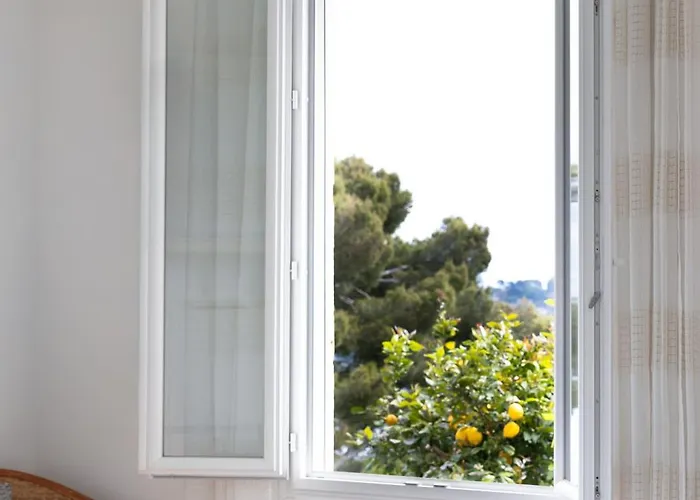 Belvedere فيلة