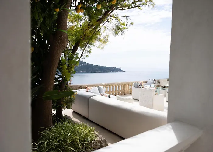 فيلة Belvedere